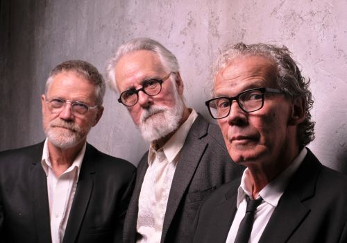 Mojo Monkeys